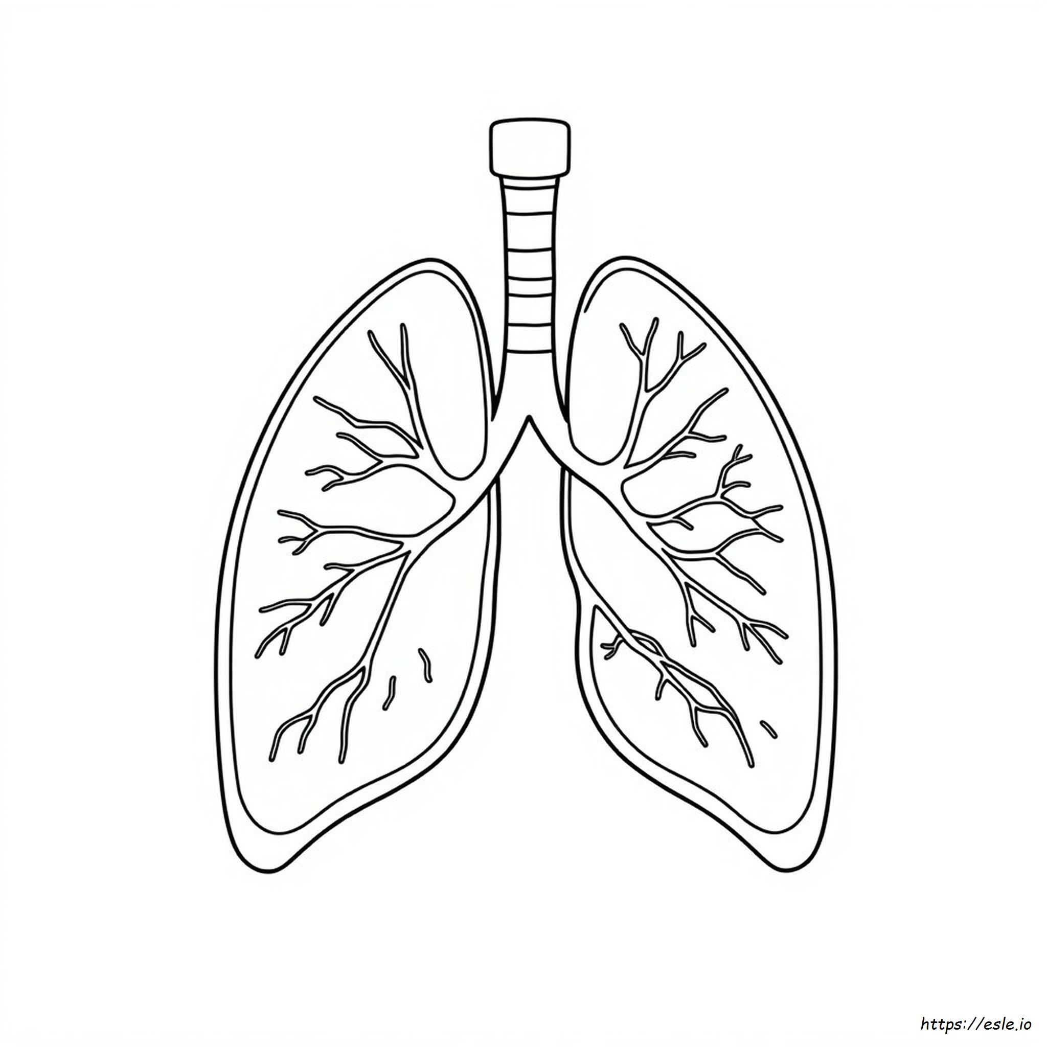 Coloring Picture Of Lungs