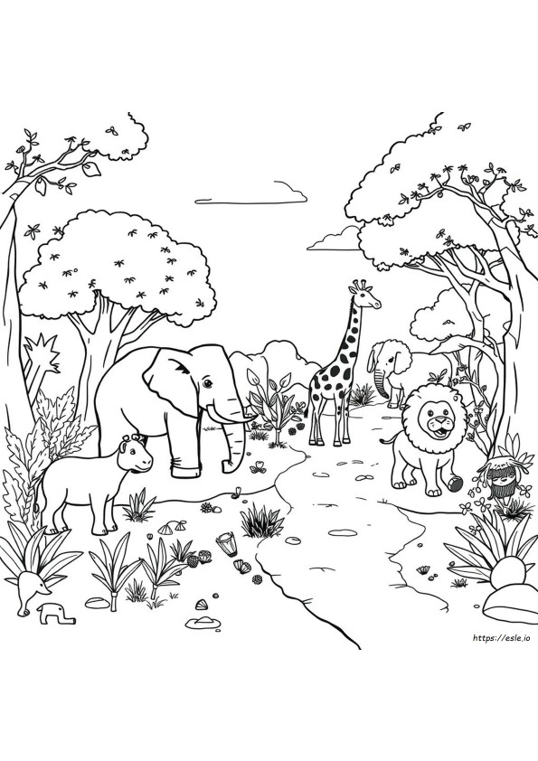Coloring Pages Of Zoo