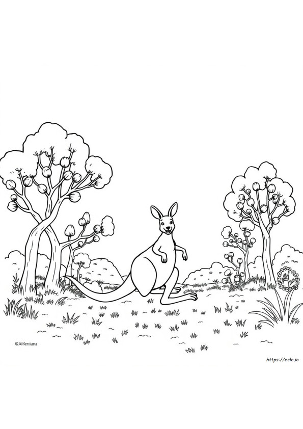 Desenhos Australianos Para Colorir Para Imprimir