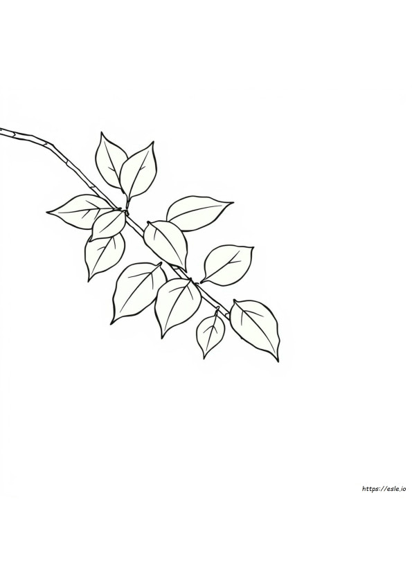 Green Colouring Pages