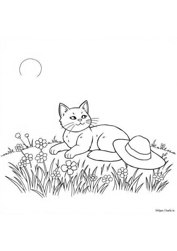 Summer Cat Coloring Pages