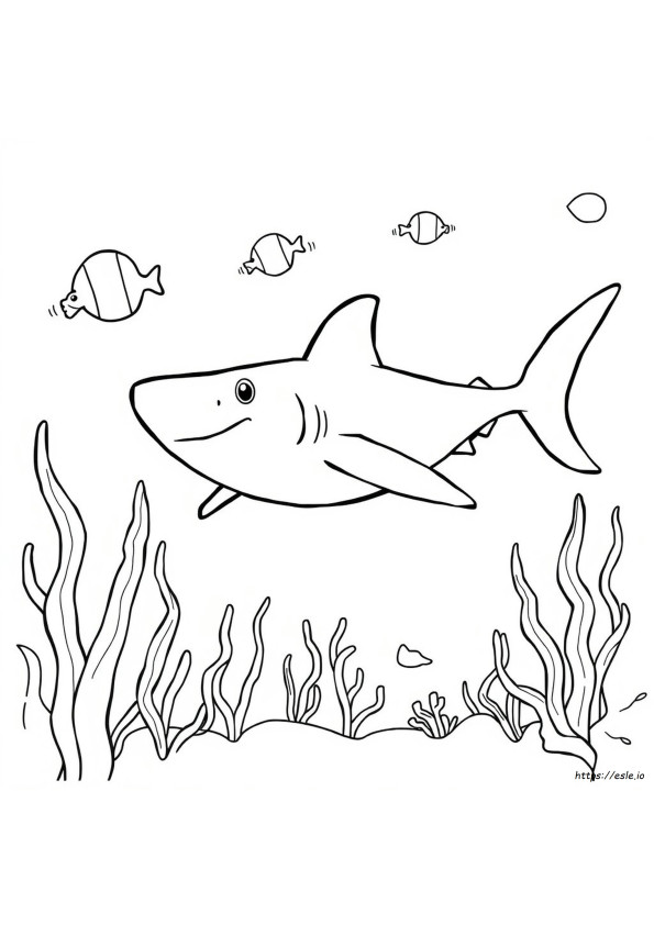 Shark Coloring Pages Preschool
