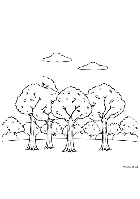 Alberi Da Colorare