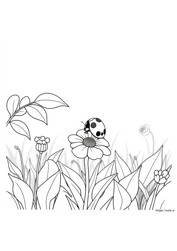 Coloriages Coccinelle À Imprimer