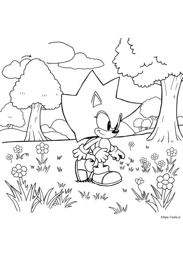 Sonic The Hedgehog 2 Coloring Pages Free