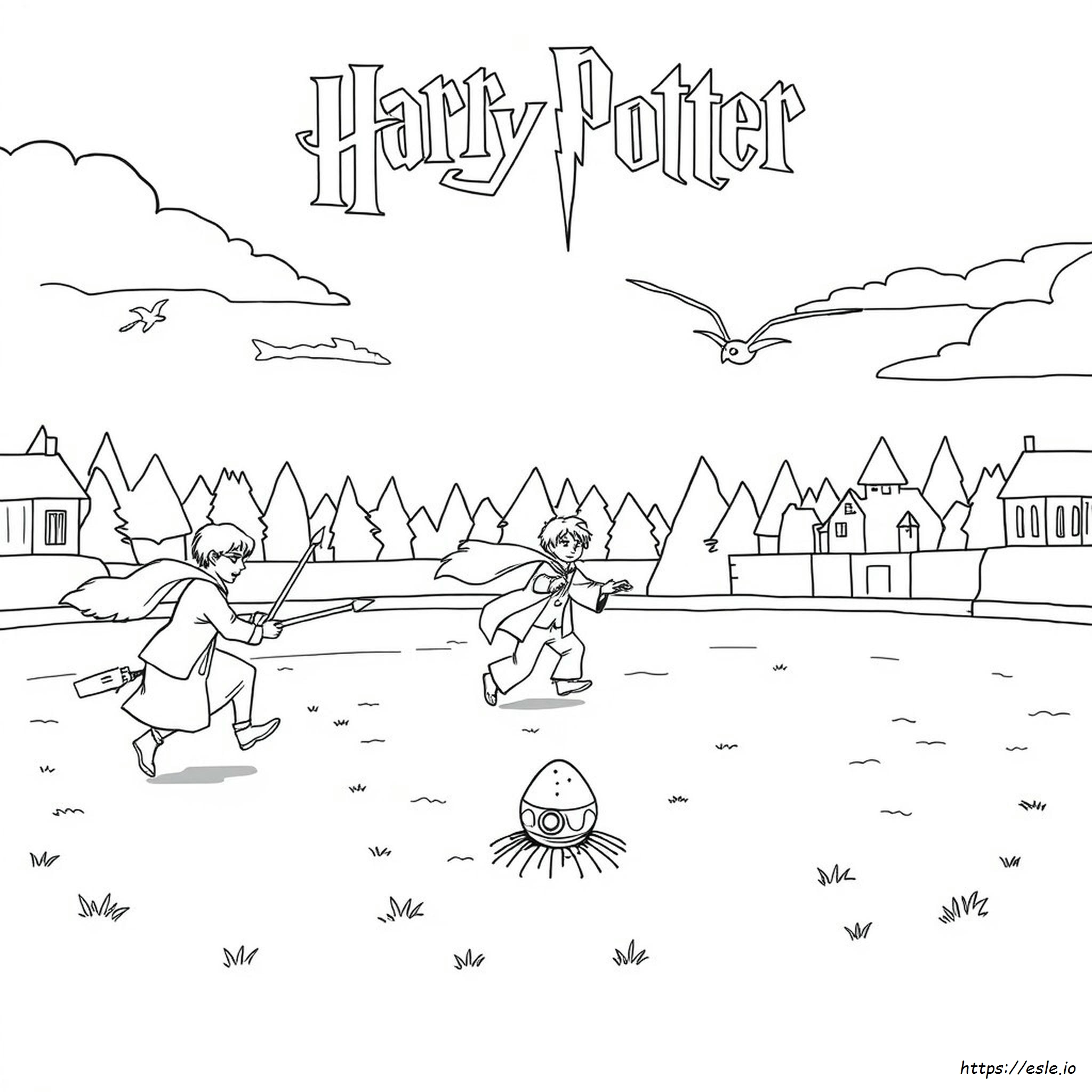Harry Potter Quidditch Boyama Sayfaları