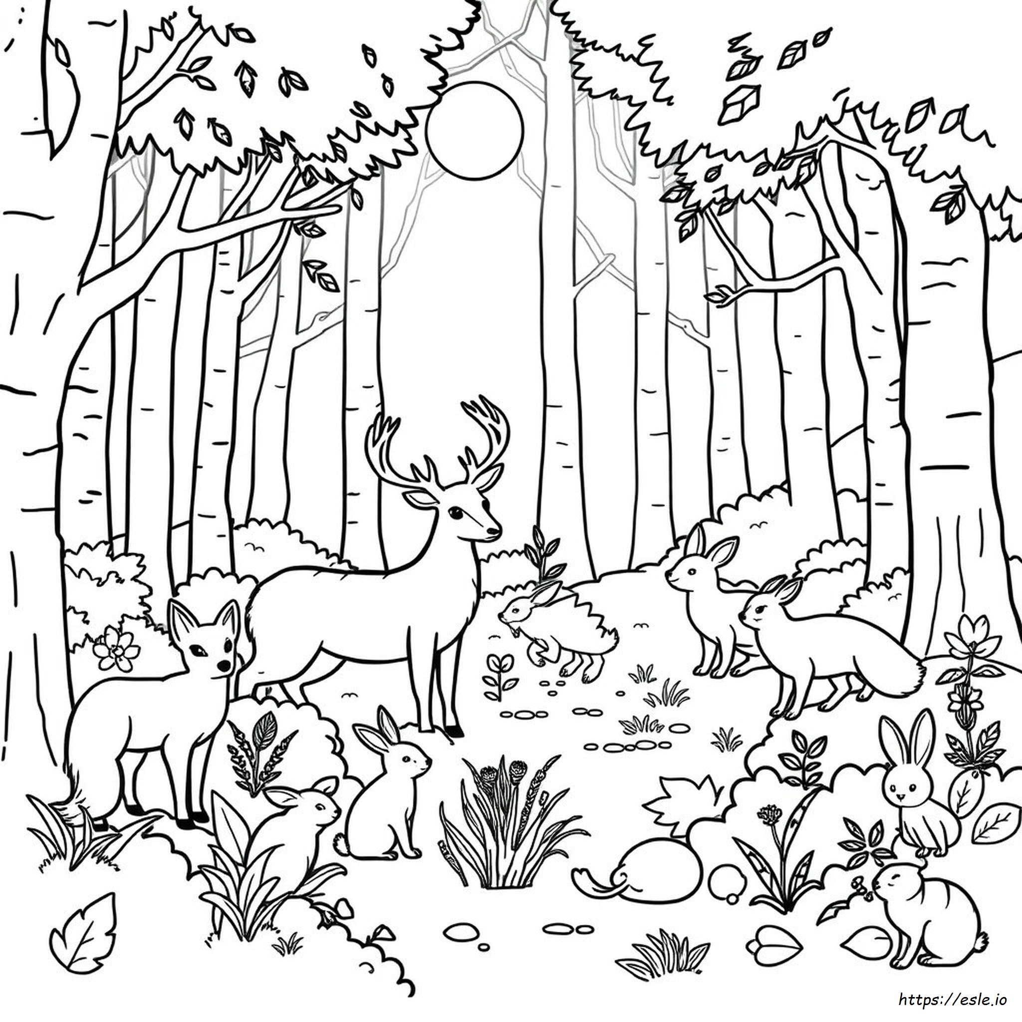 Forest Animal Woodland Animals Coloring Pages