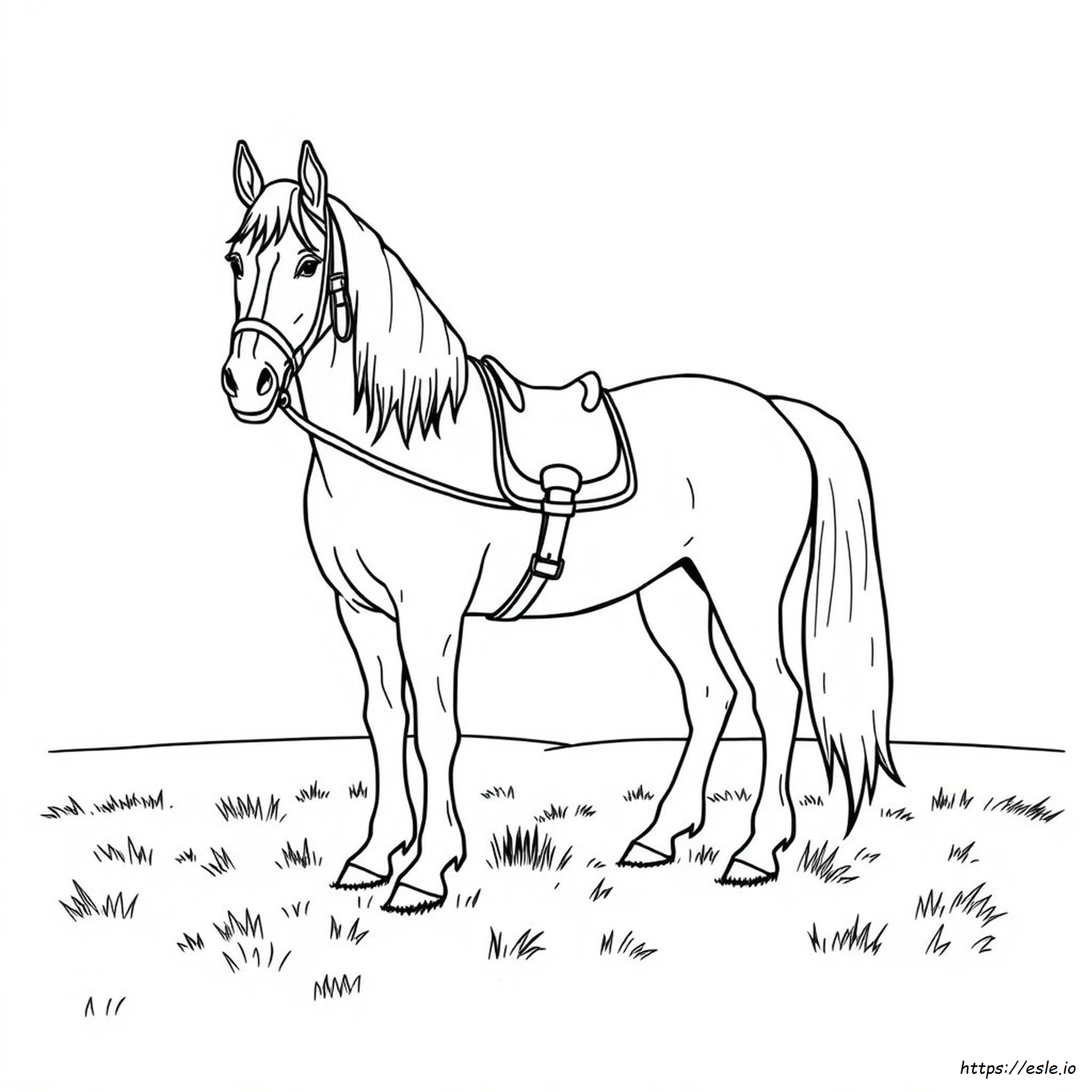 Kuda Friesian Gambar Mewarnai