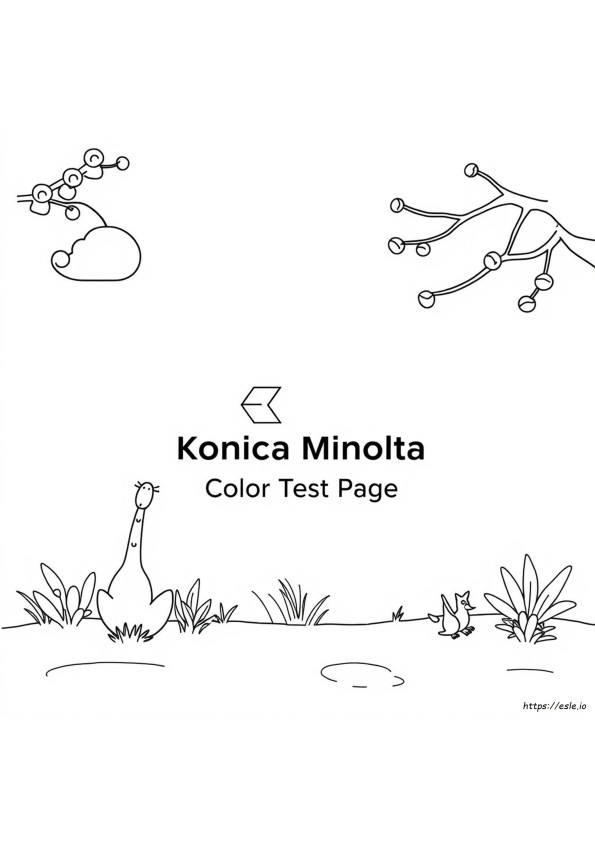 Konica Minolta Kleur Testpagina