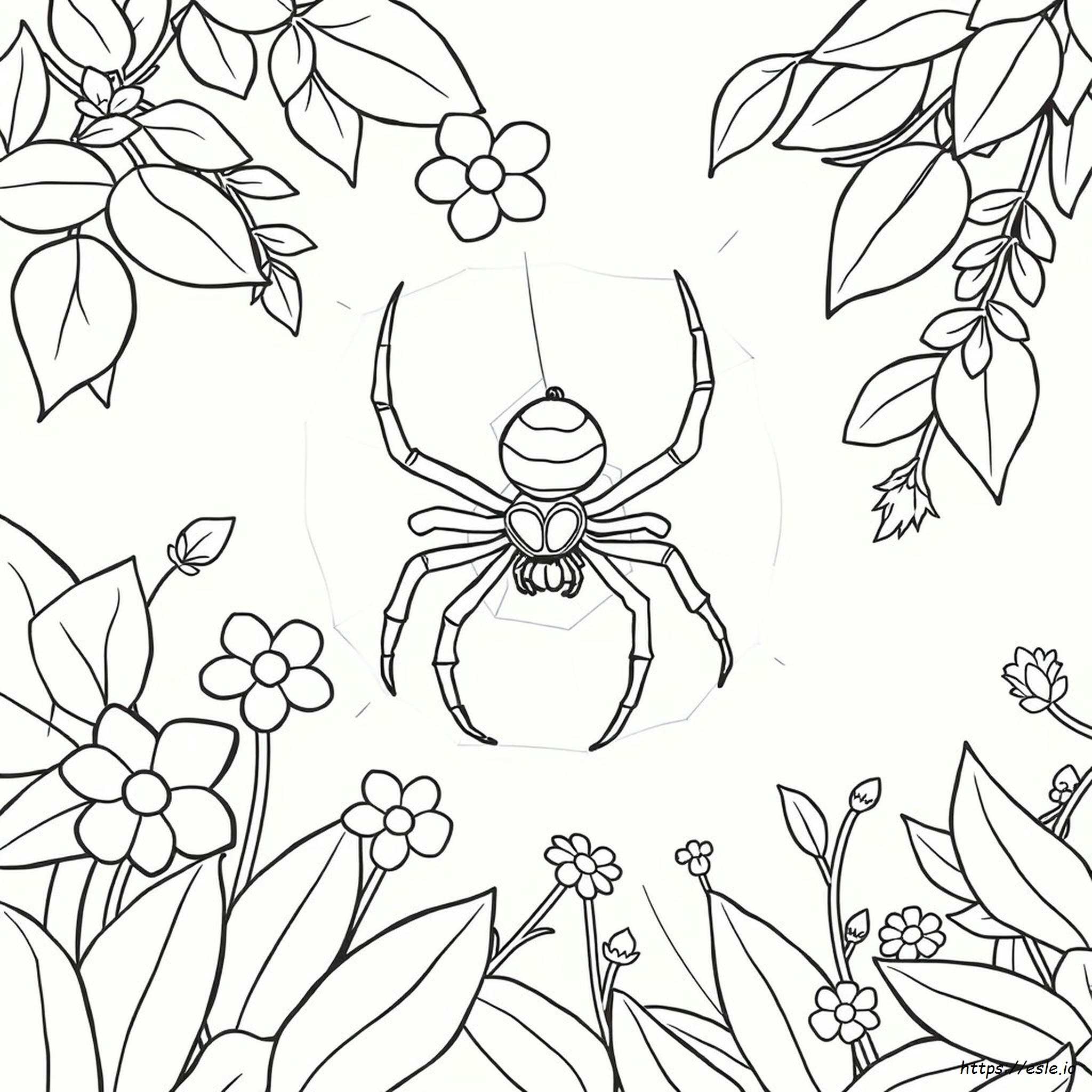 Big Spider Coloring Pages - Free Printable