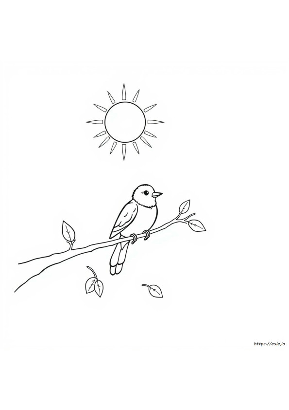 Bird Colouring In