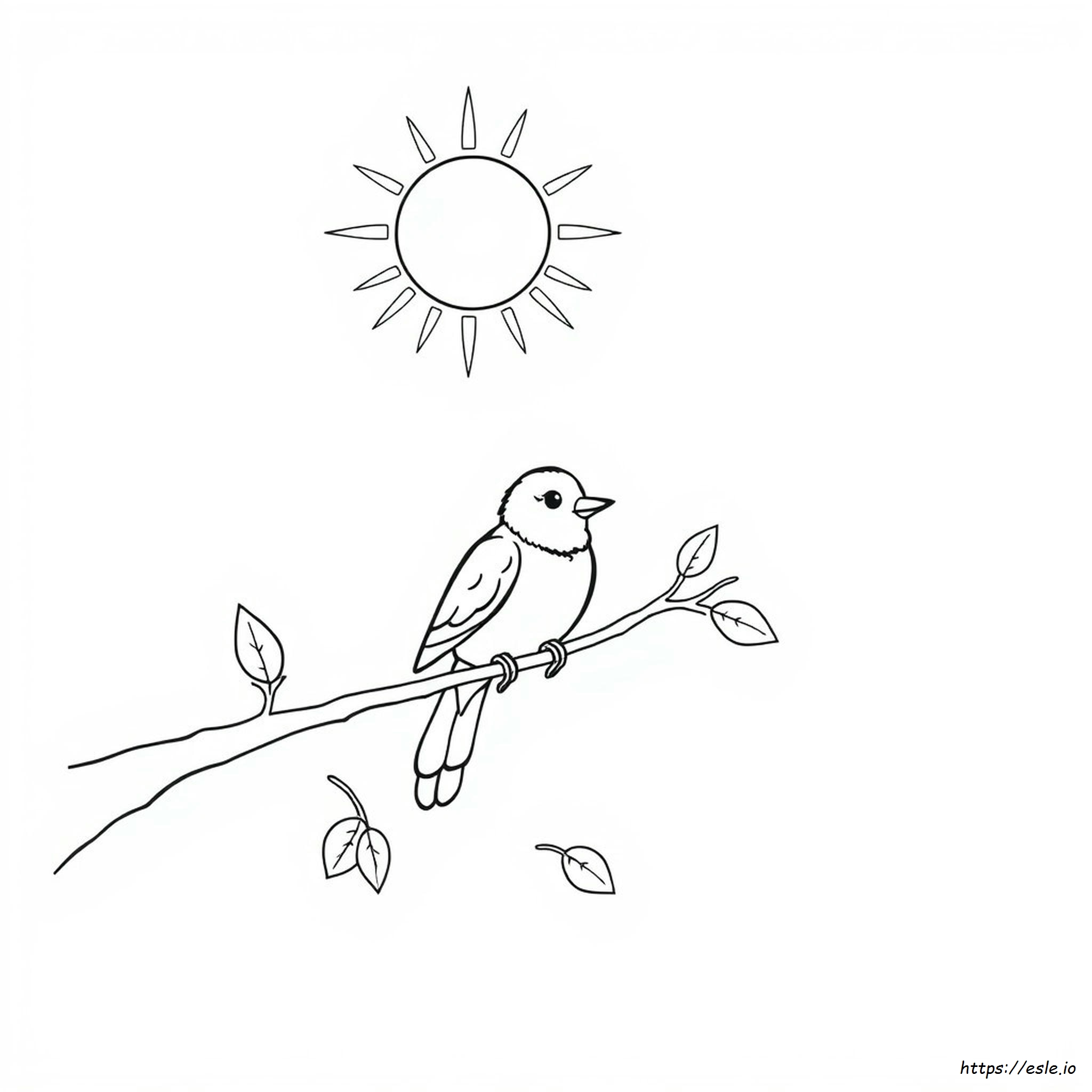Coloriage Oiseau