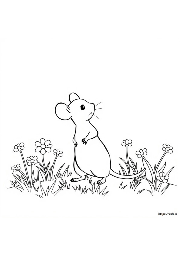 Mouse Coloring Sheet