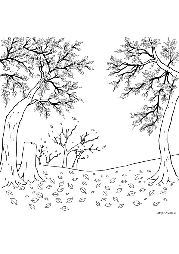 Momiji Coloring Pages
