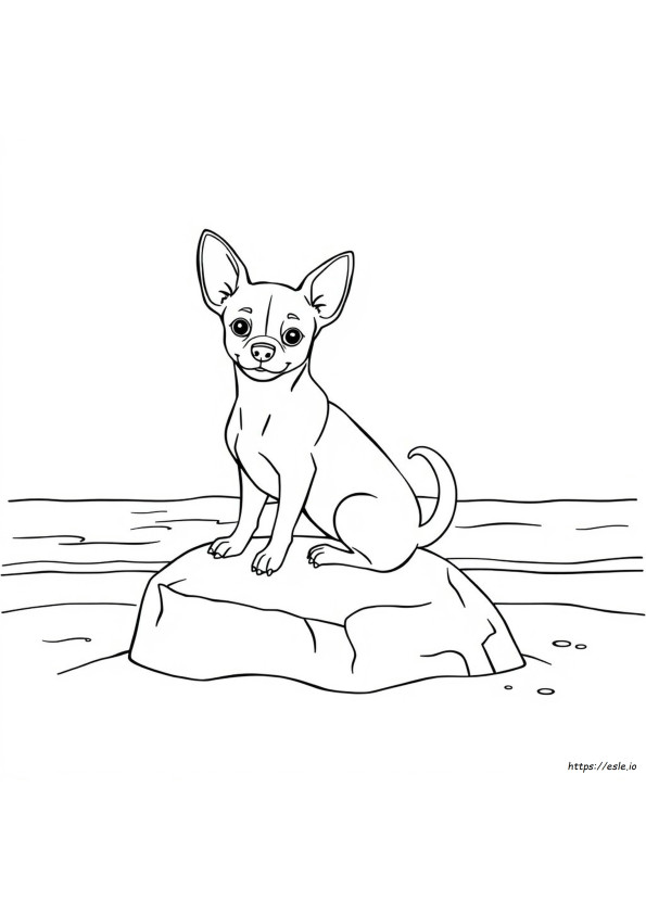 Chihuahua Coloring Pages For Adults