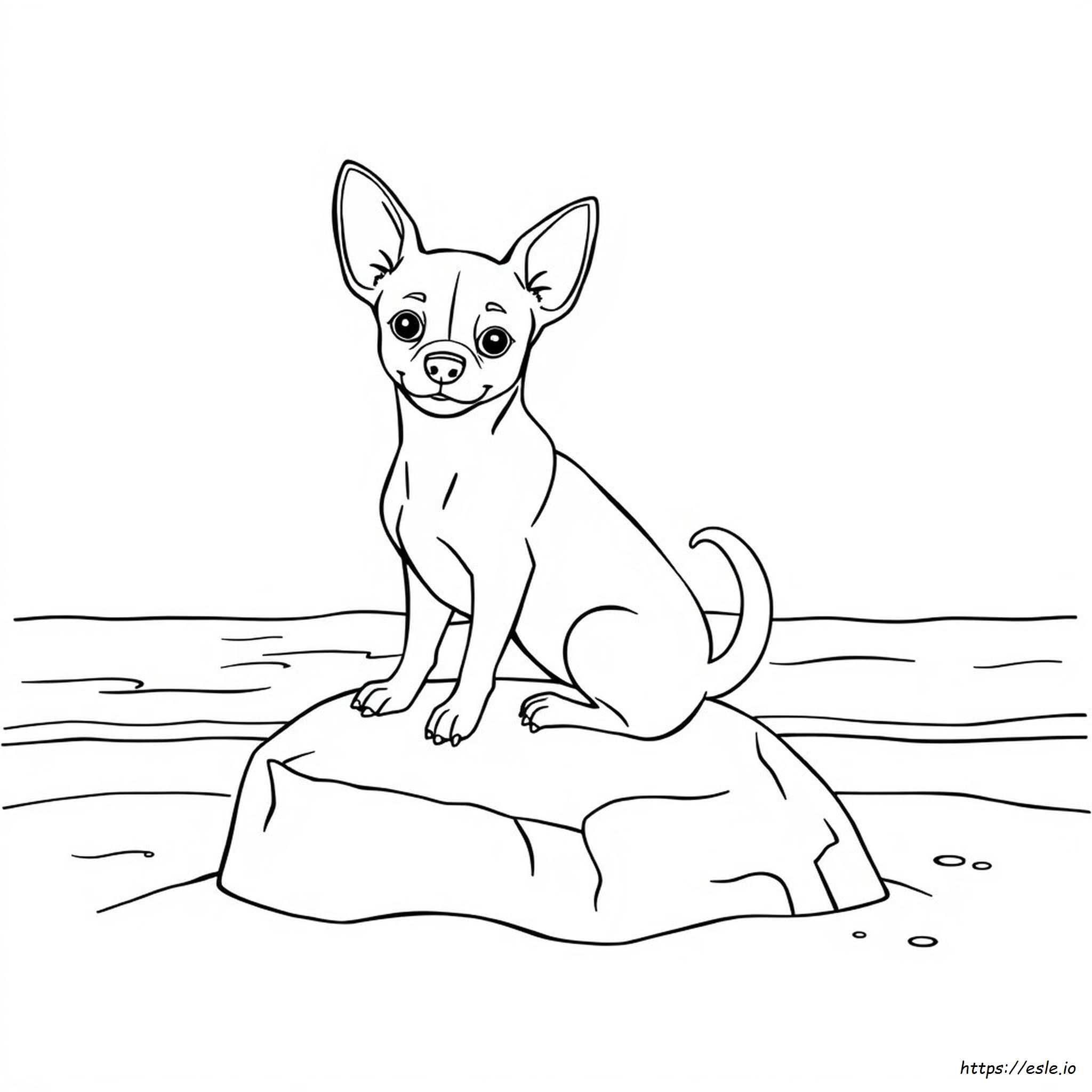 Chihuahua Coloring Pages For Adults - Printable