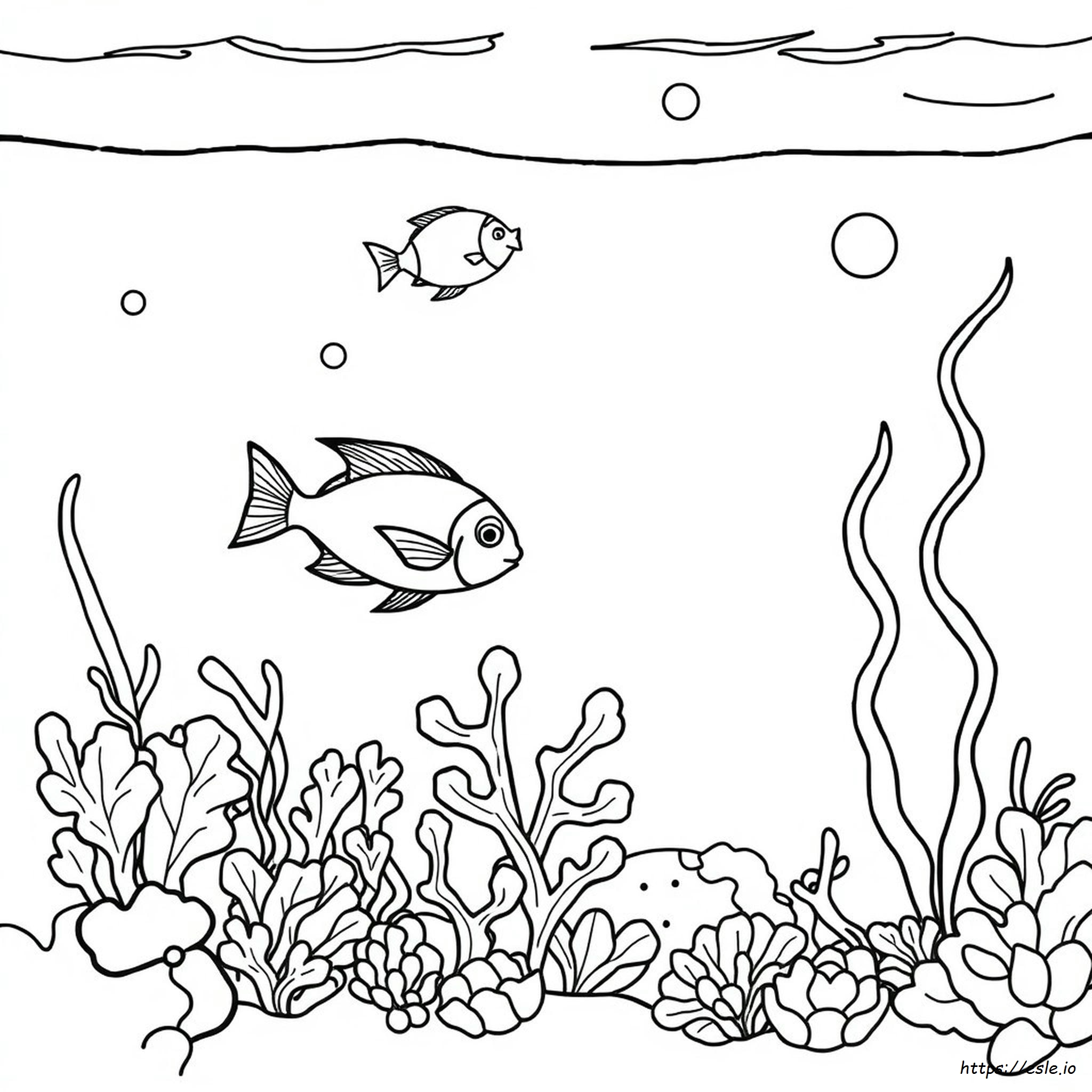 Under The Sea Coloring Pages For Preschool