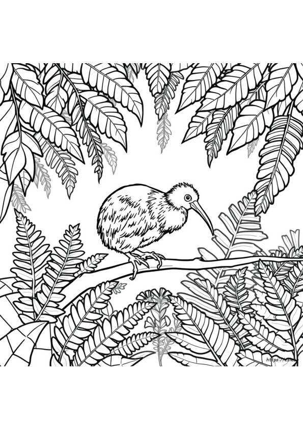 Kiwi Vogel Kleurplaat