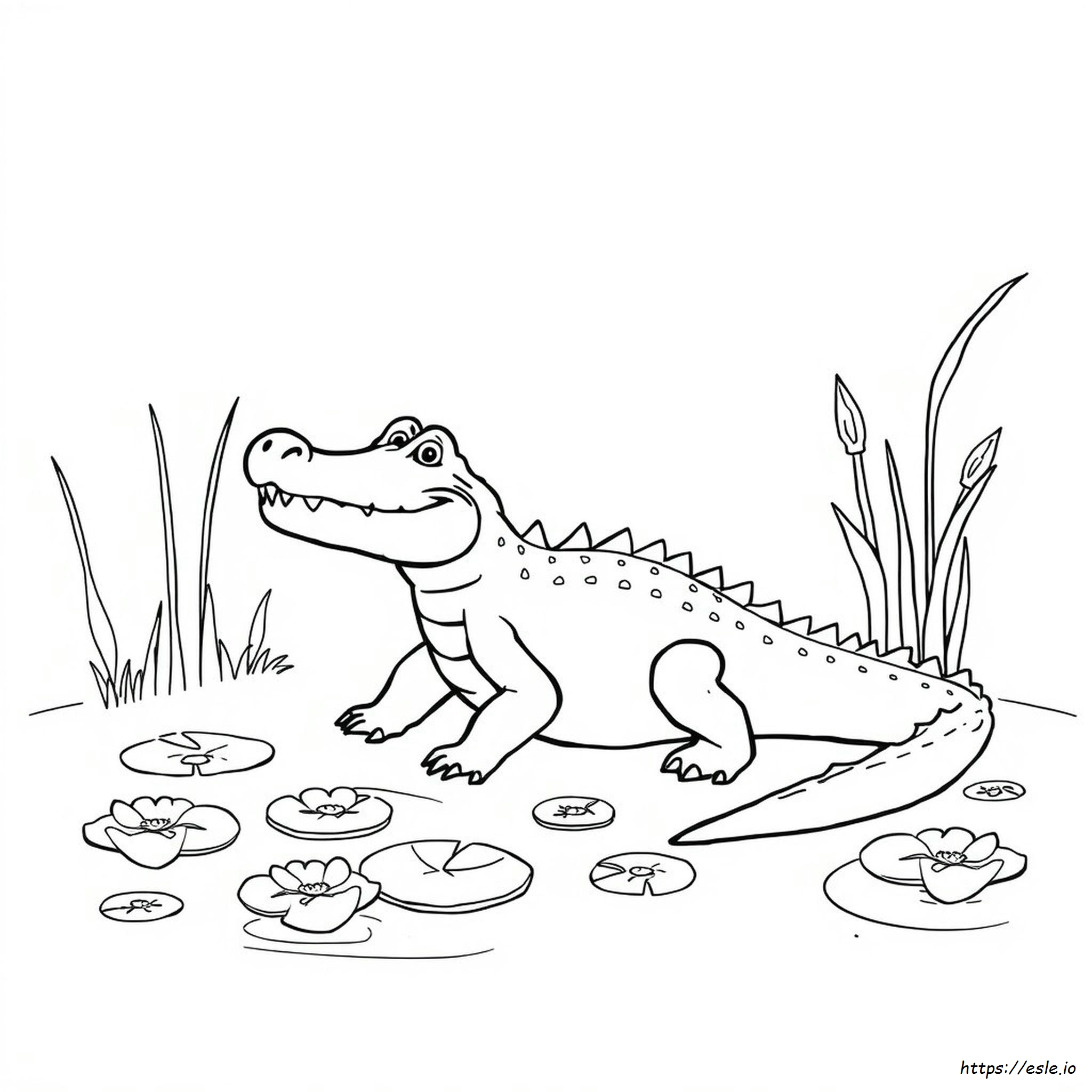 Alligator Coloring Pages To Print - Free Printable