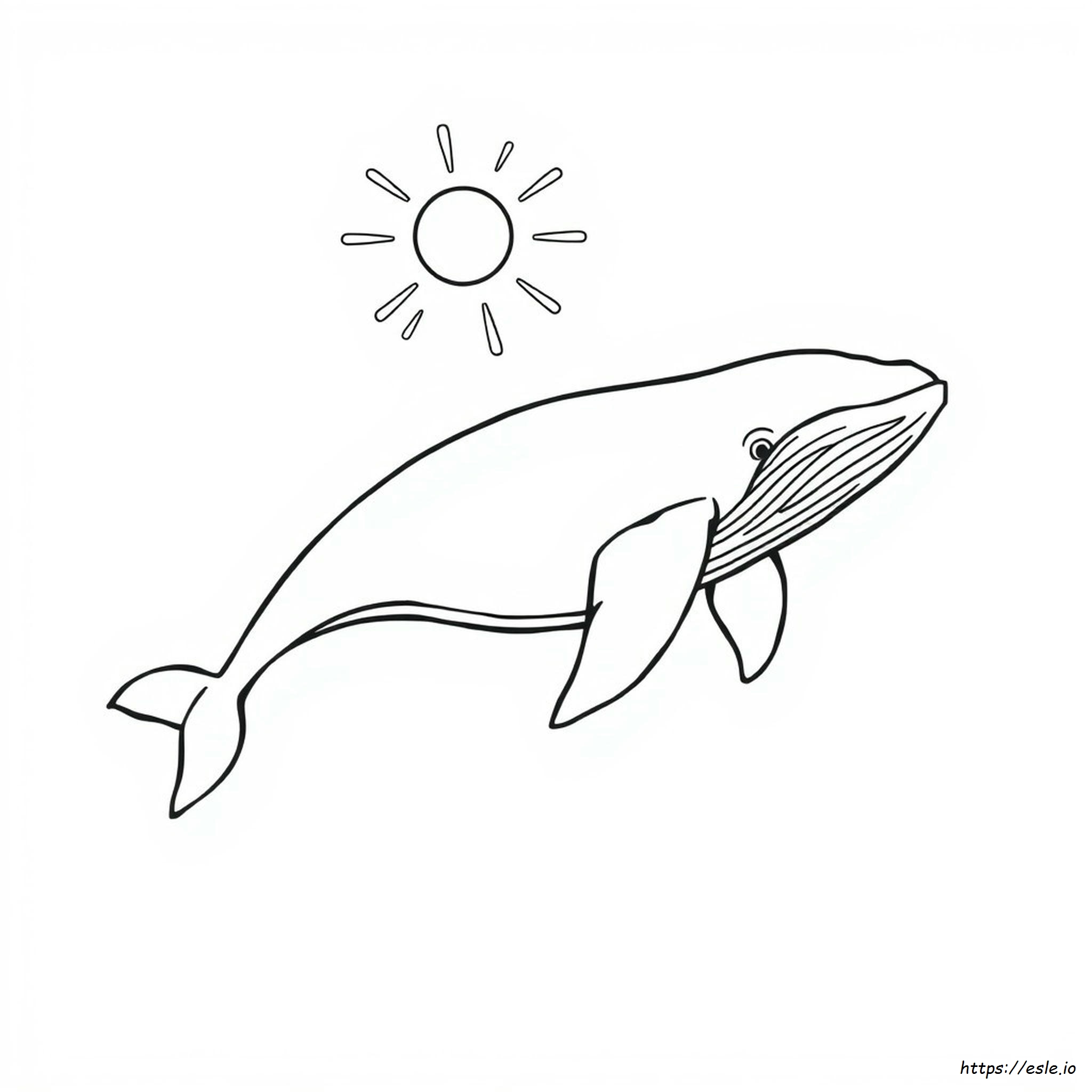 Balena Da Colorare - Disegno Gratis Da Stampare