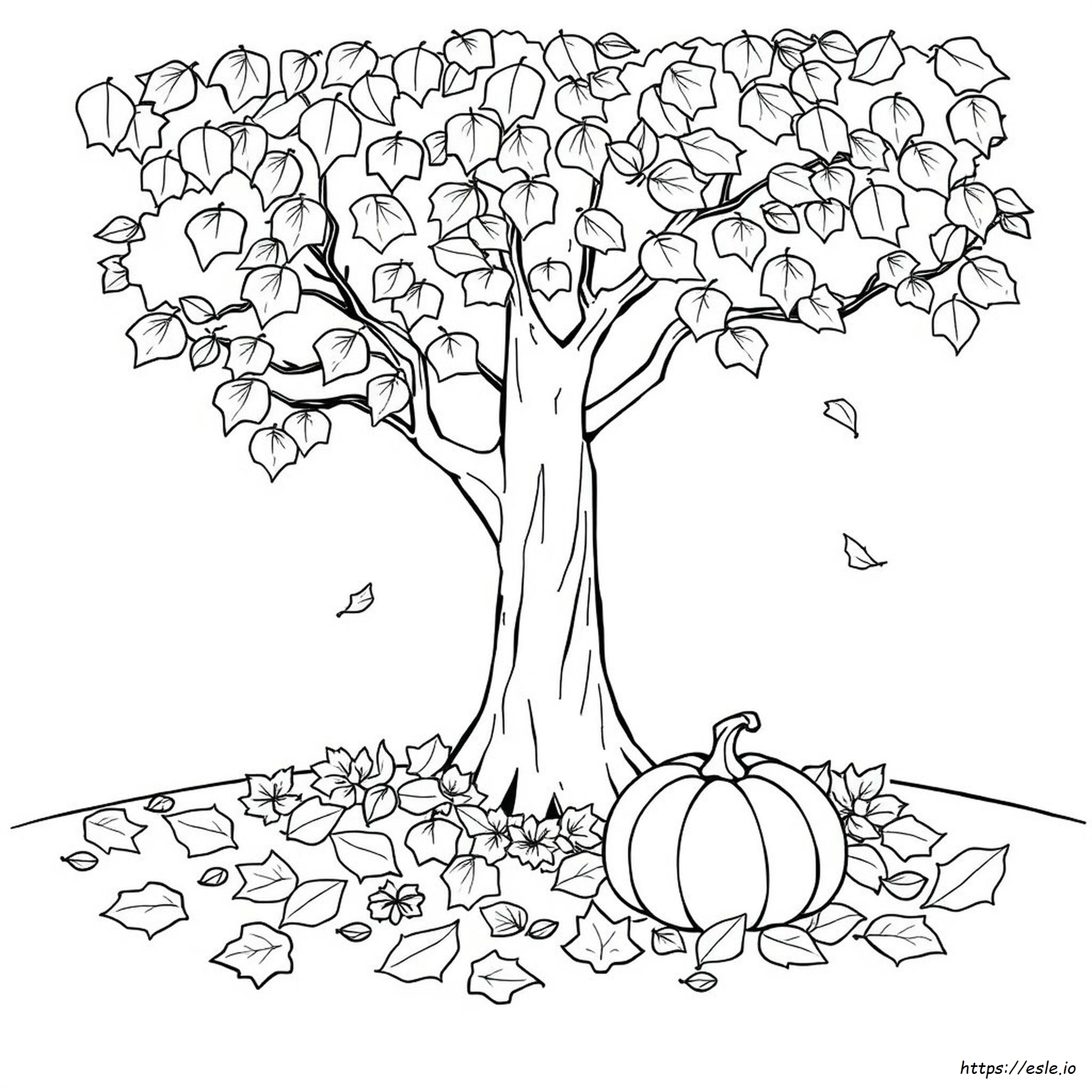 Autumn Leaf Colouring Pages