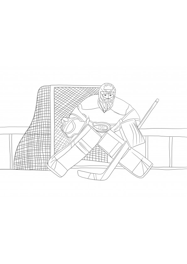 Carey Price from NHL to print for free and color page