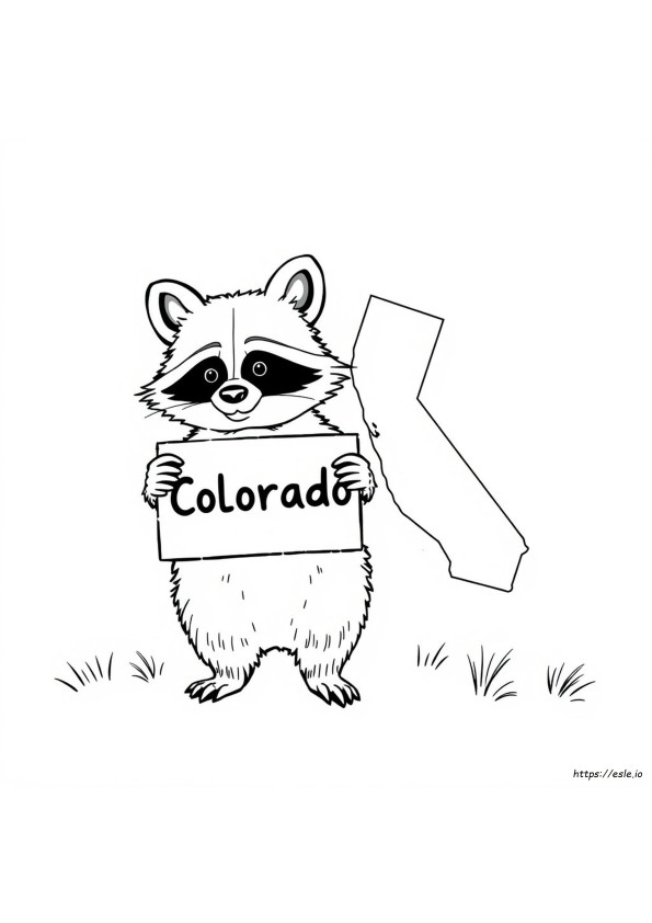 Coloriage Ratons Laveurs Du Colorado