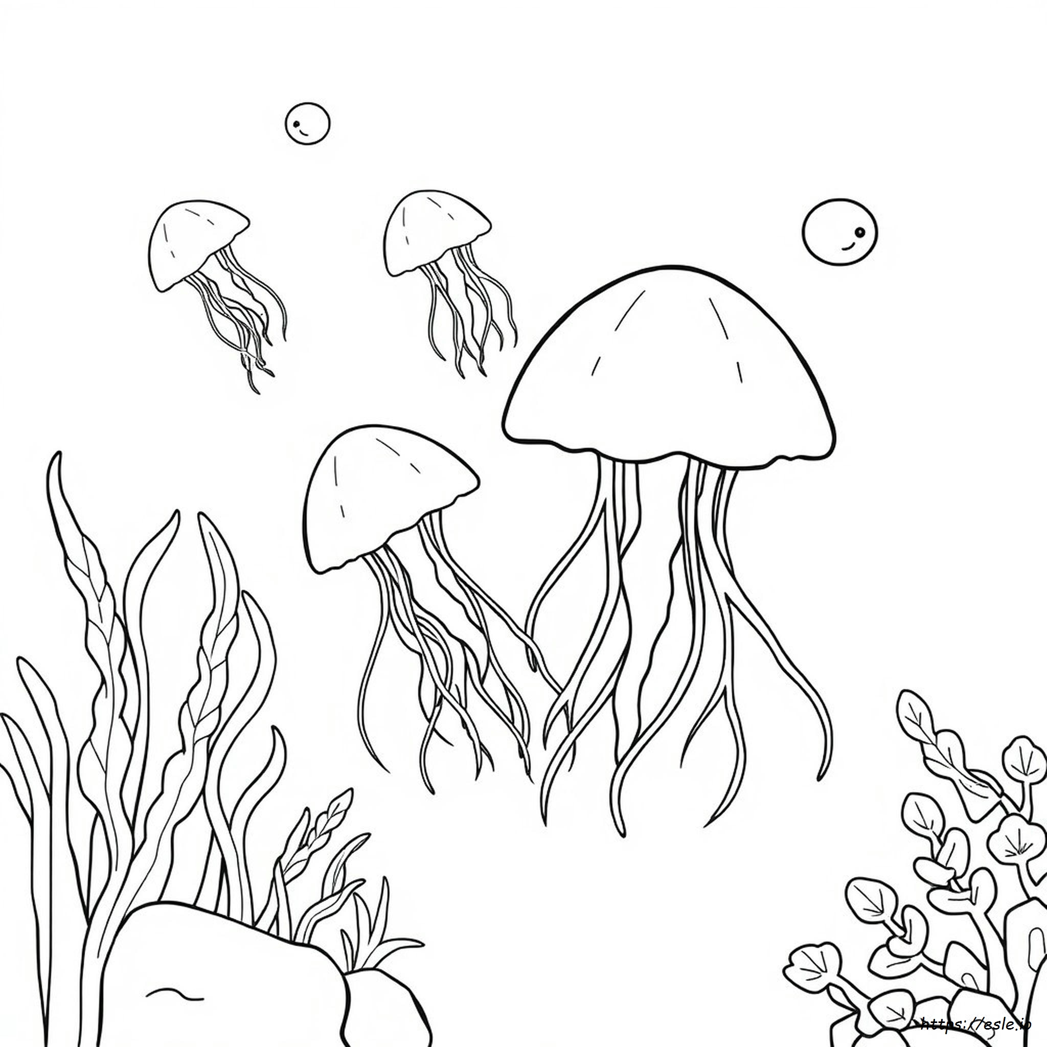 Jelly Fish Coloring Pages
