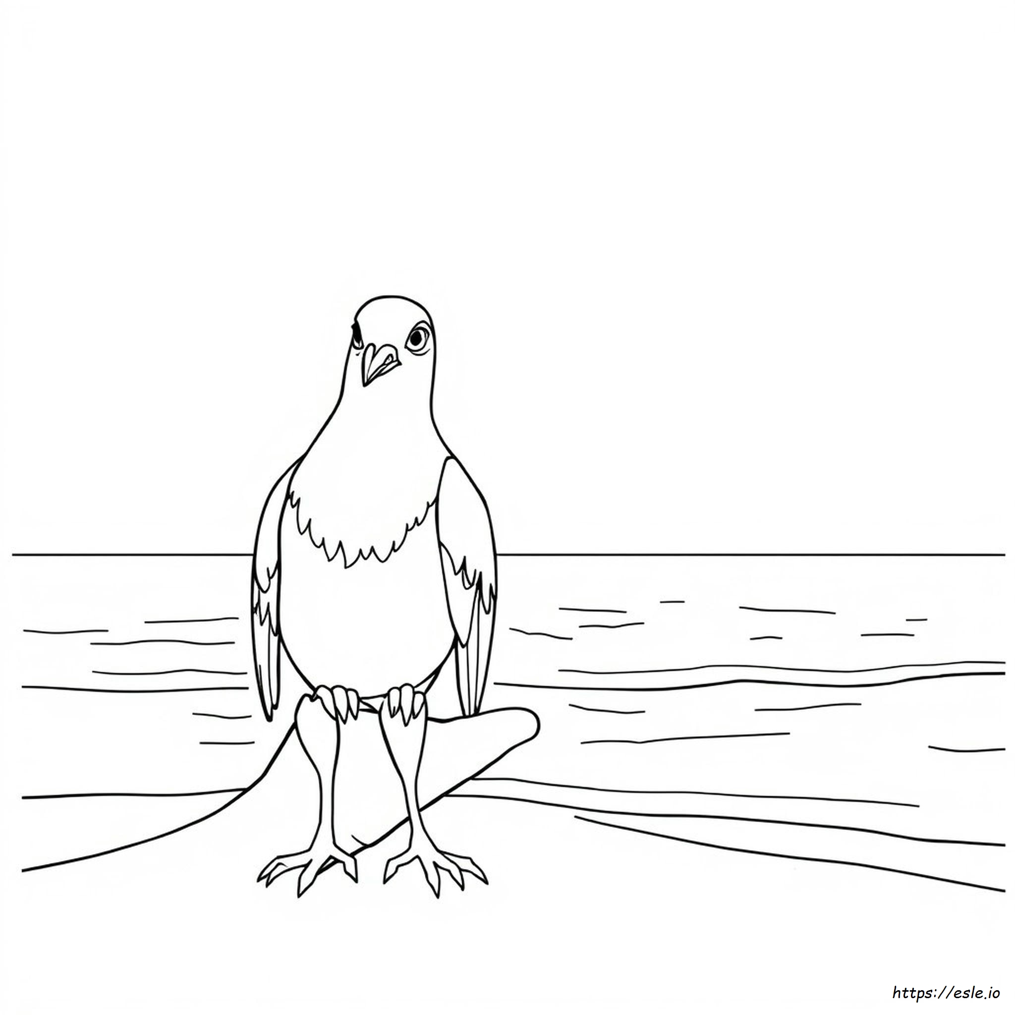 Pua Moana Coloring Page - Free Printable