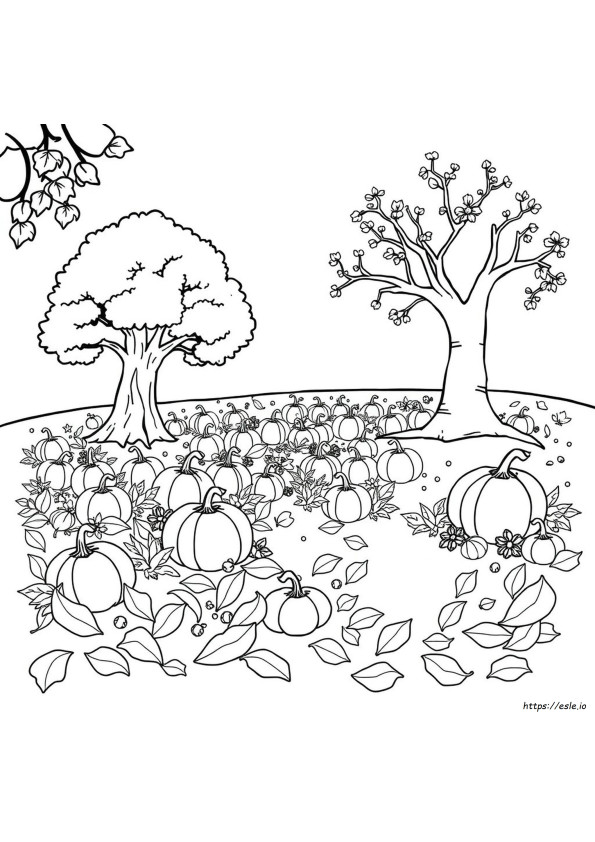 September Coloring Pages To Print