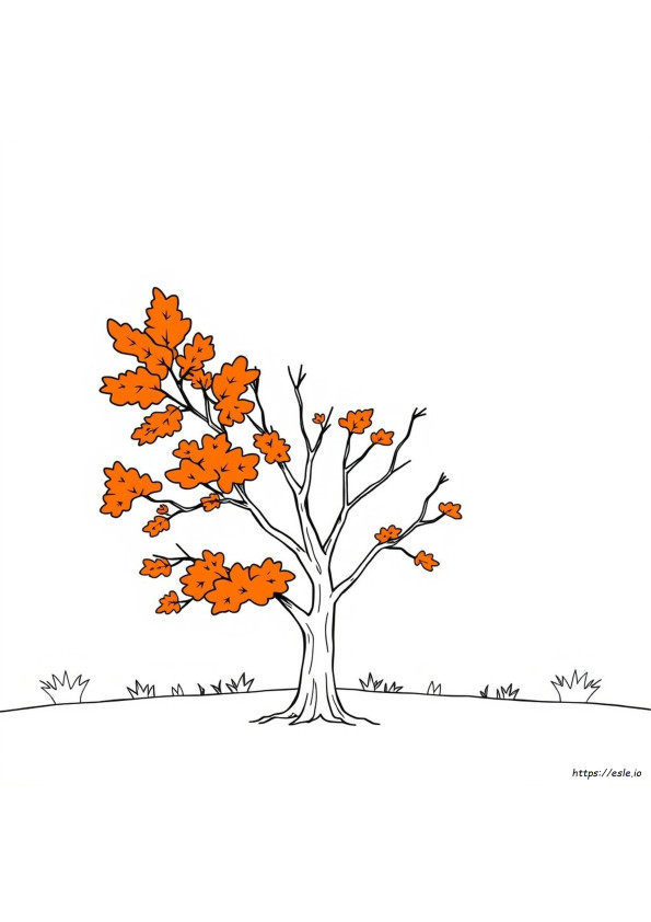 What Is The Colour For October