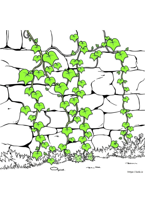 Veins In Green Color