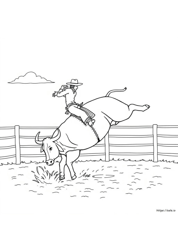 Rodeo Bull Coloring Pages