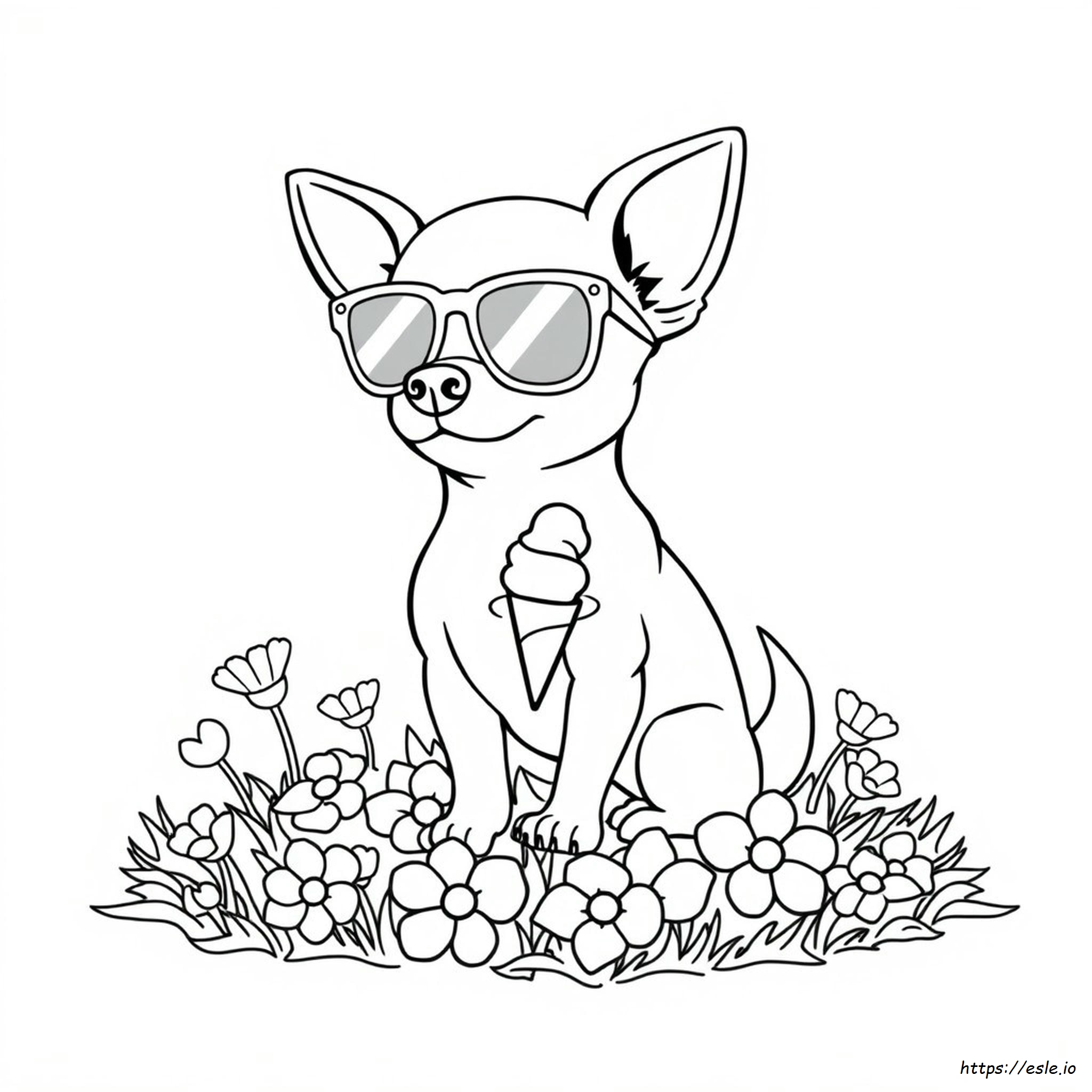 Printable Chihuahua Dog Coloring Pages