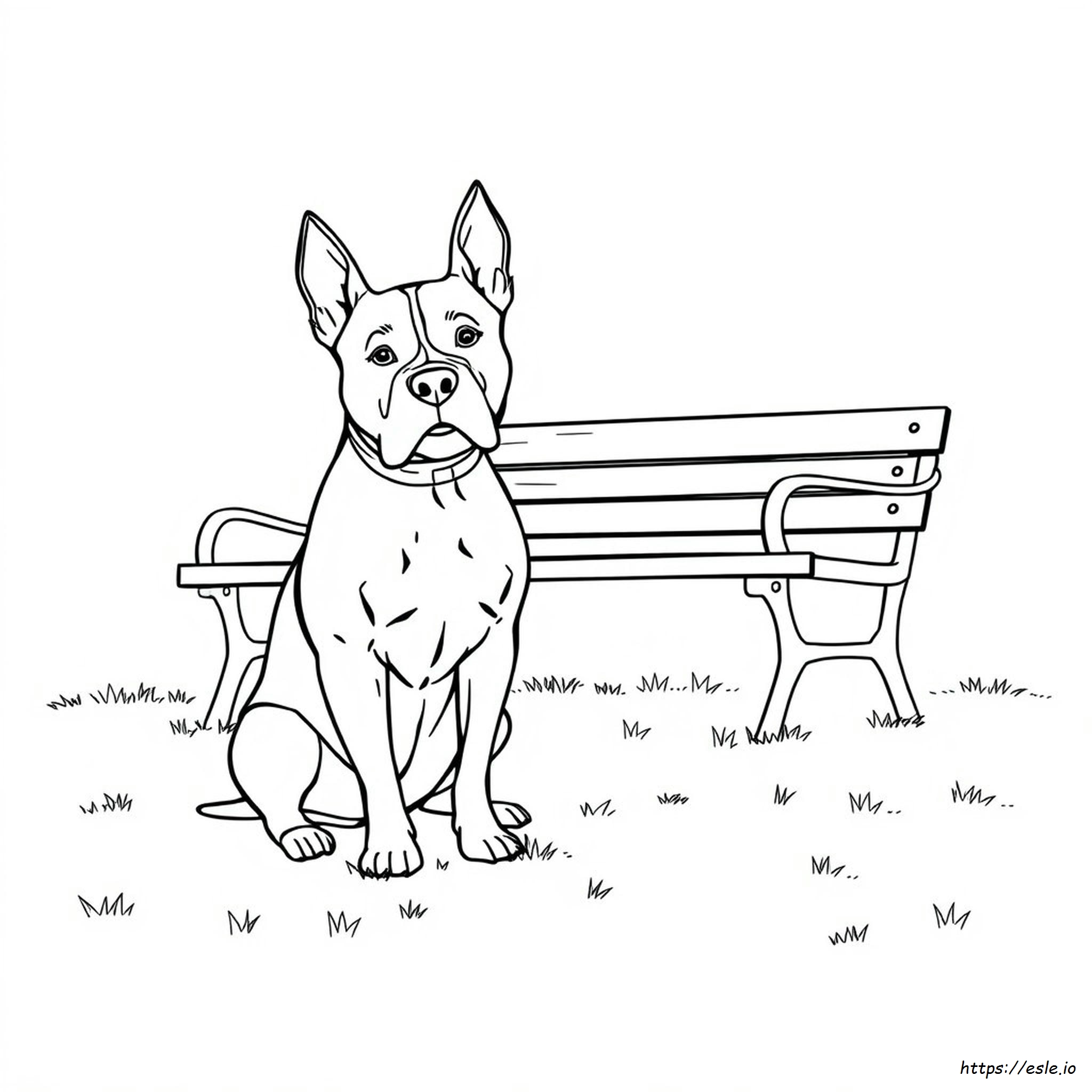 Gambar Mewarnai Staffordshire Bull Terrier