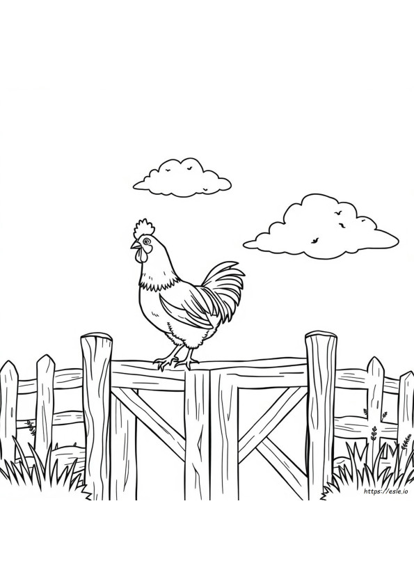 Galline Da Colorare Per Adulti