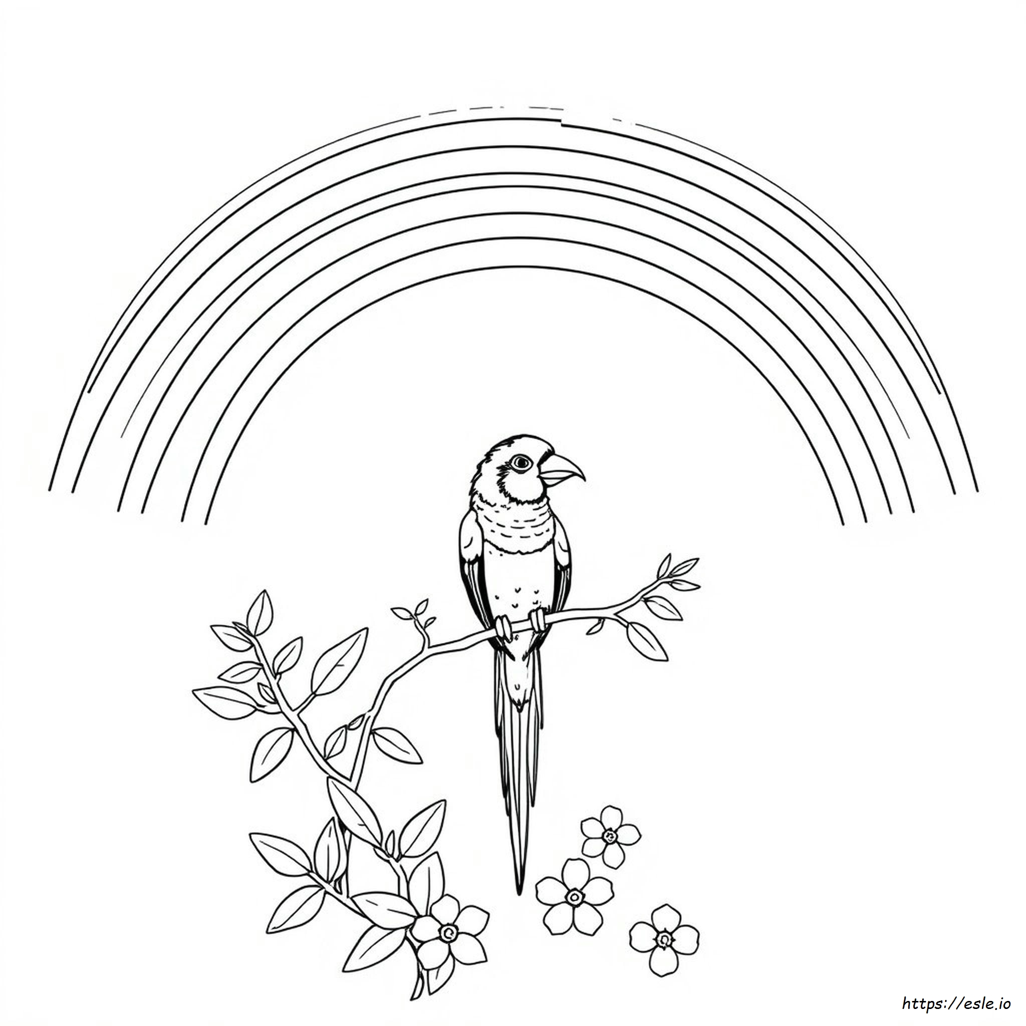 Printable Rainbow Lorikeet Coloring Pages