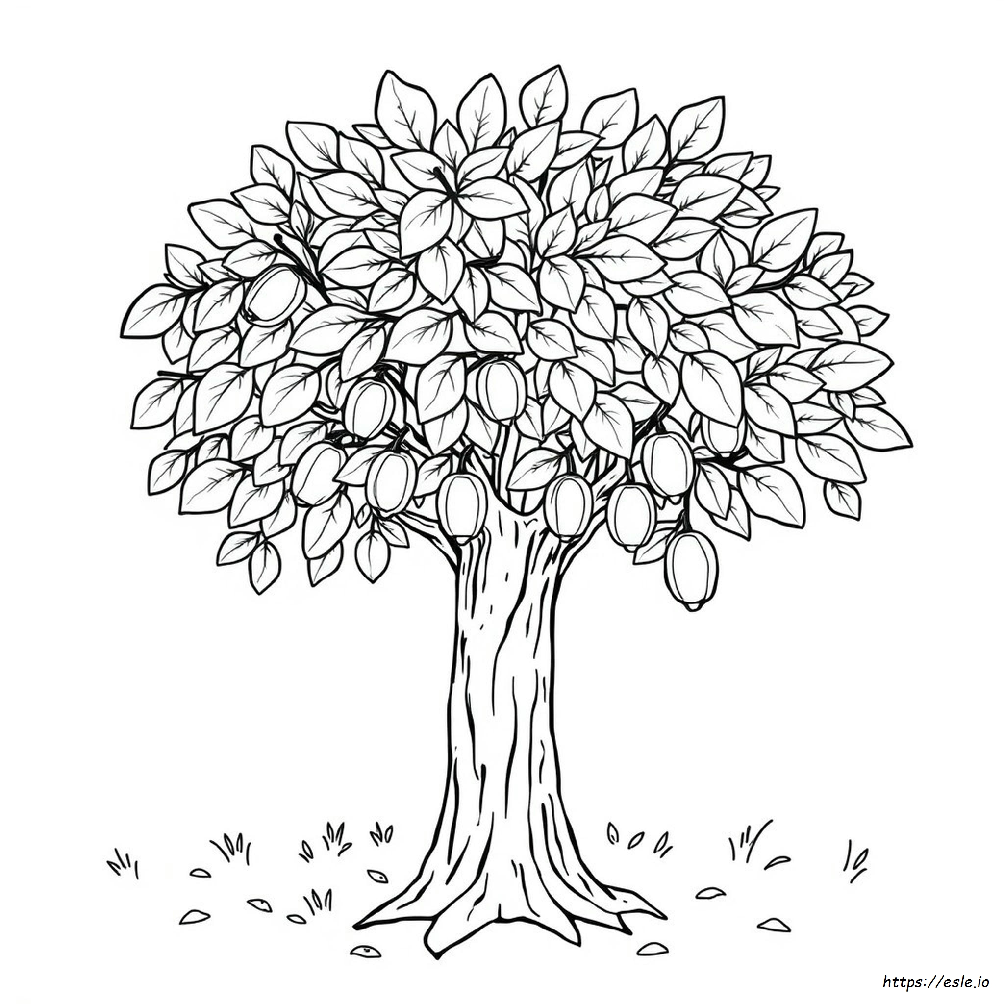 Texas Pecan Tree Coloring Page