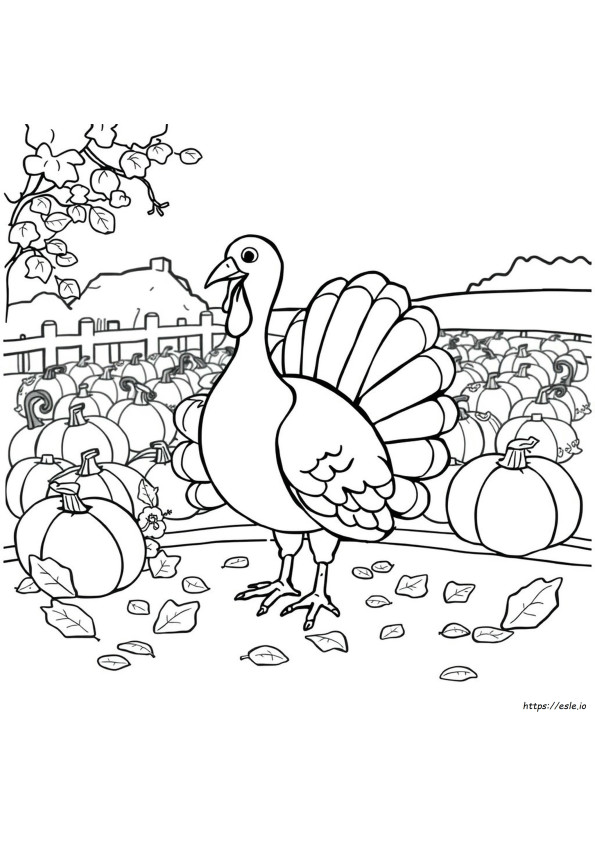 Turkey Coloring Sheets Printable
