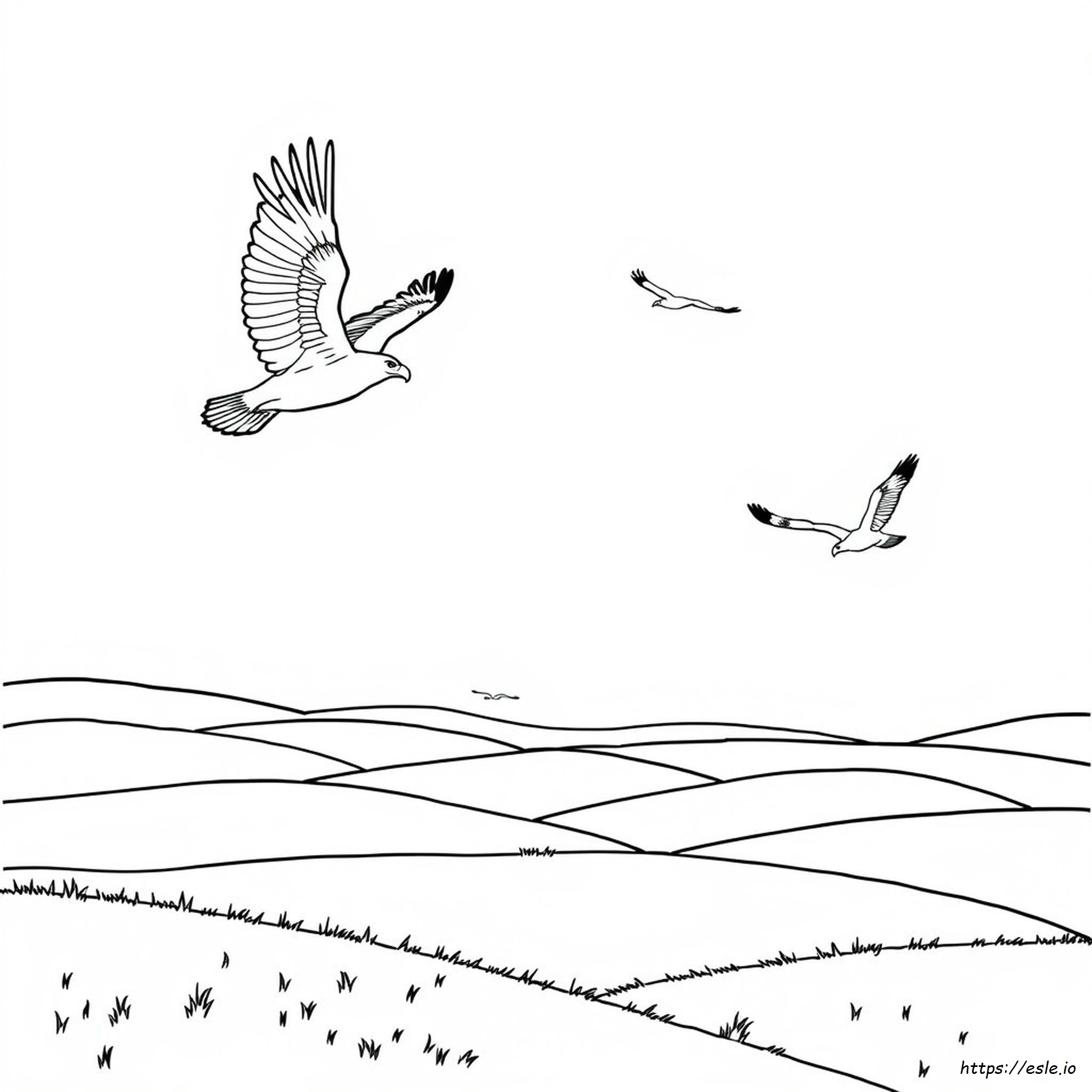 Free Printable Coloring Pages Of Eagles - Coloring Page
