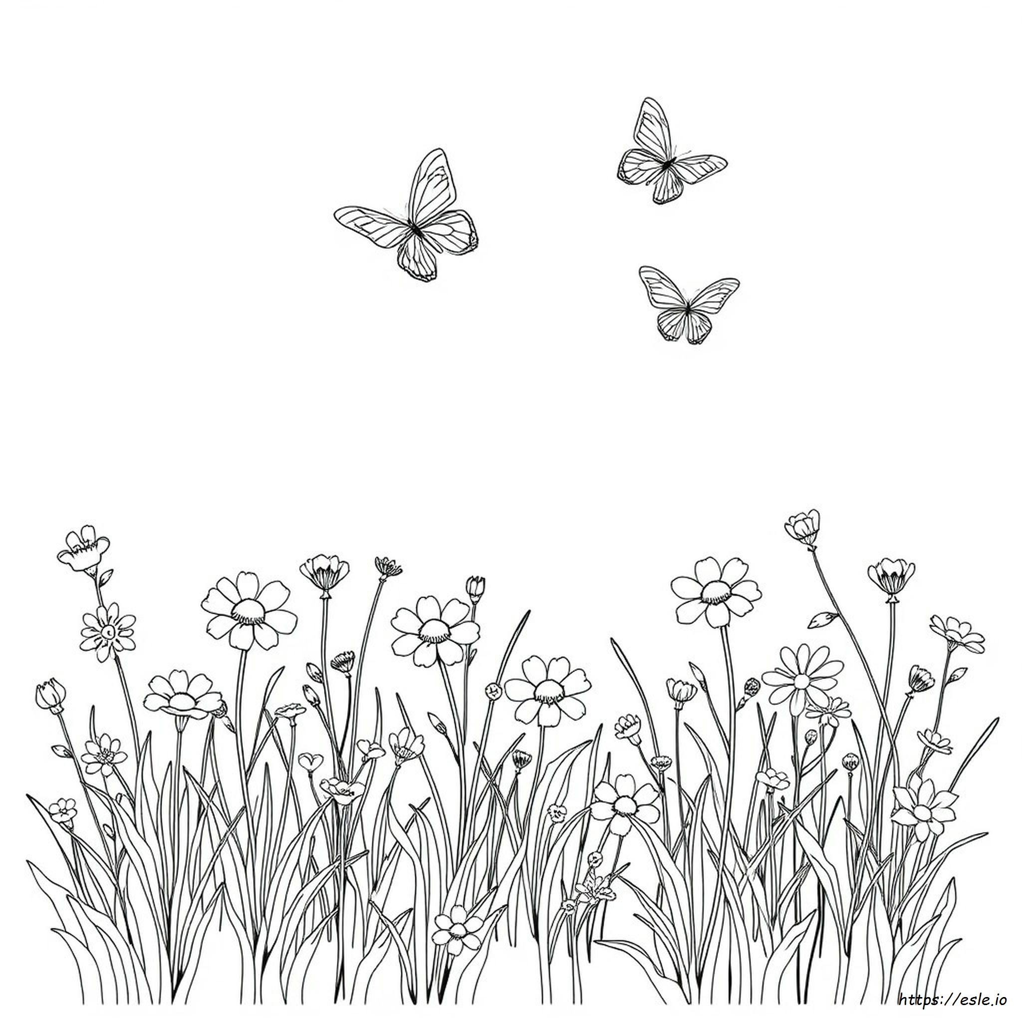 Easy Coloring Pages Adult - Free Printable PDF