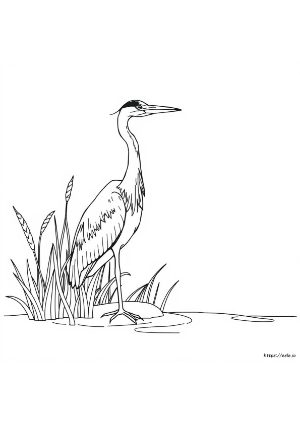 Grote Blauwe Reiger Kleurplaat