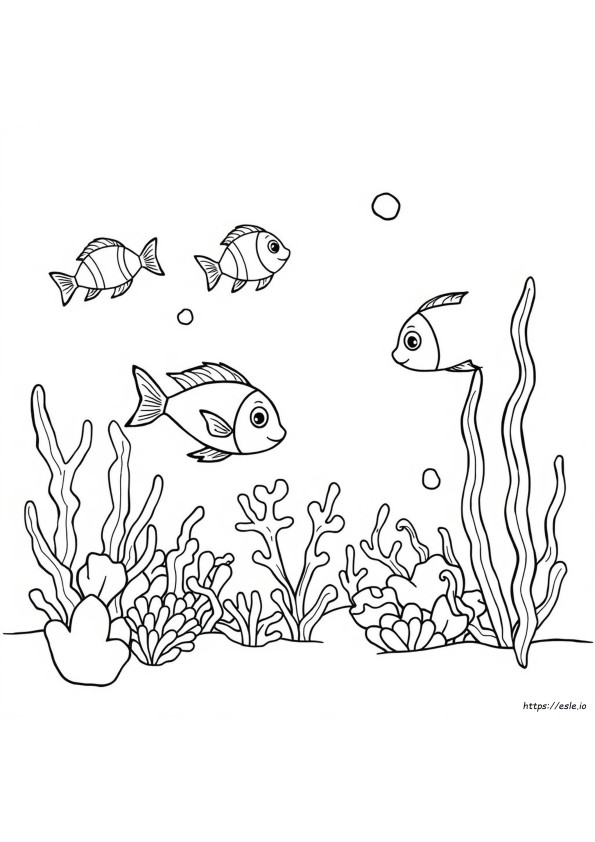 Animales Del Océano Para Colorear Preescolar