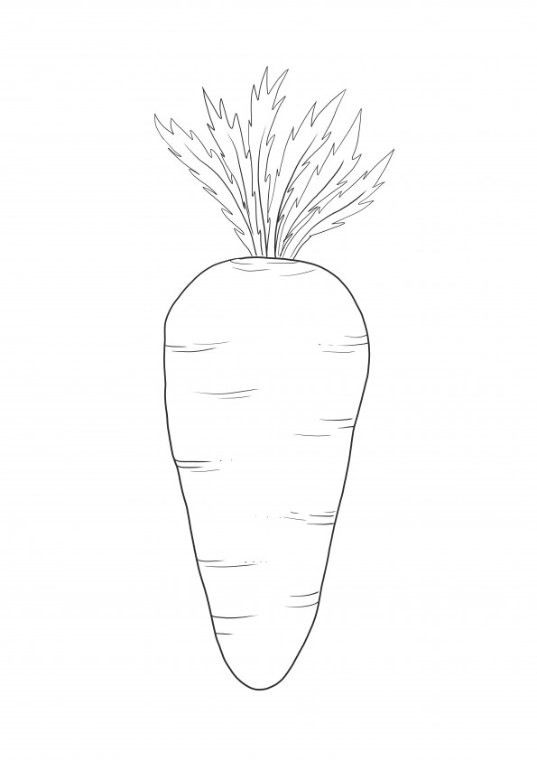 Die Karotte-Lernen über Gemüse durch kostenloses Ausmalen