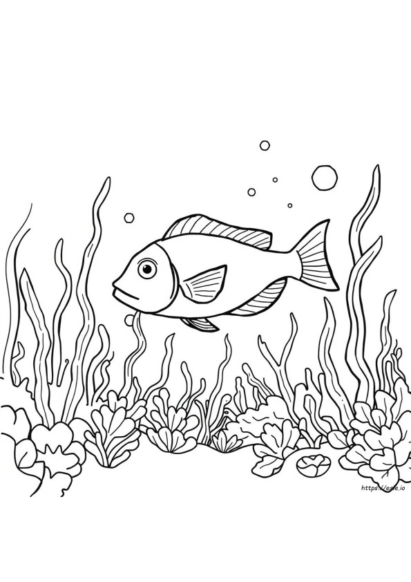 Immagine Di Pesce Da Colorare