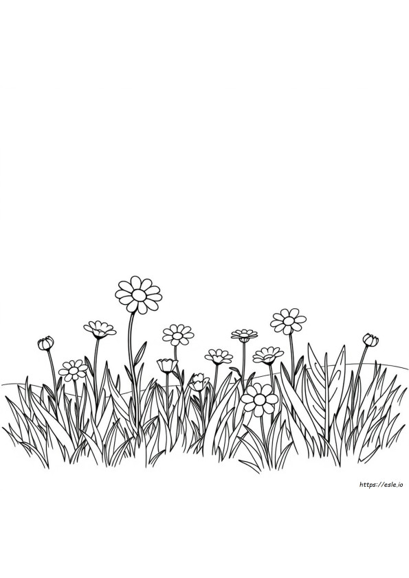 Coloring Sheets To Print Off