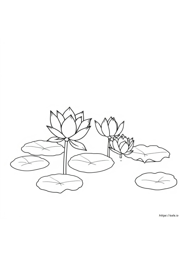 Coloriages De Lotus