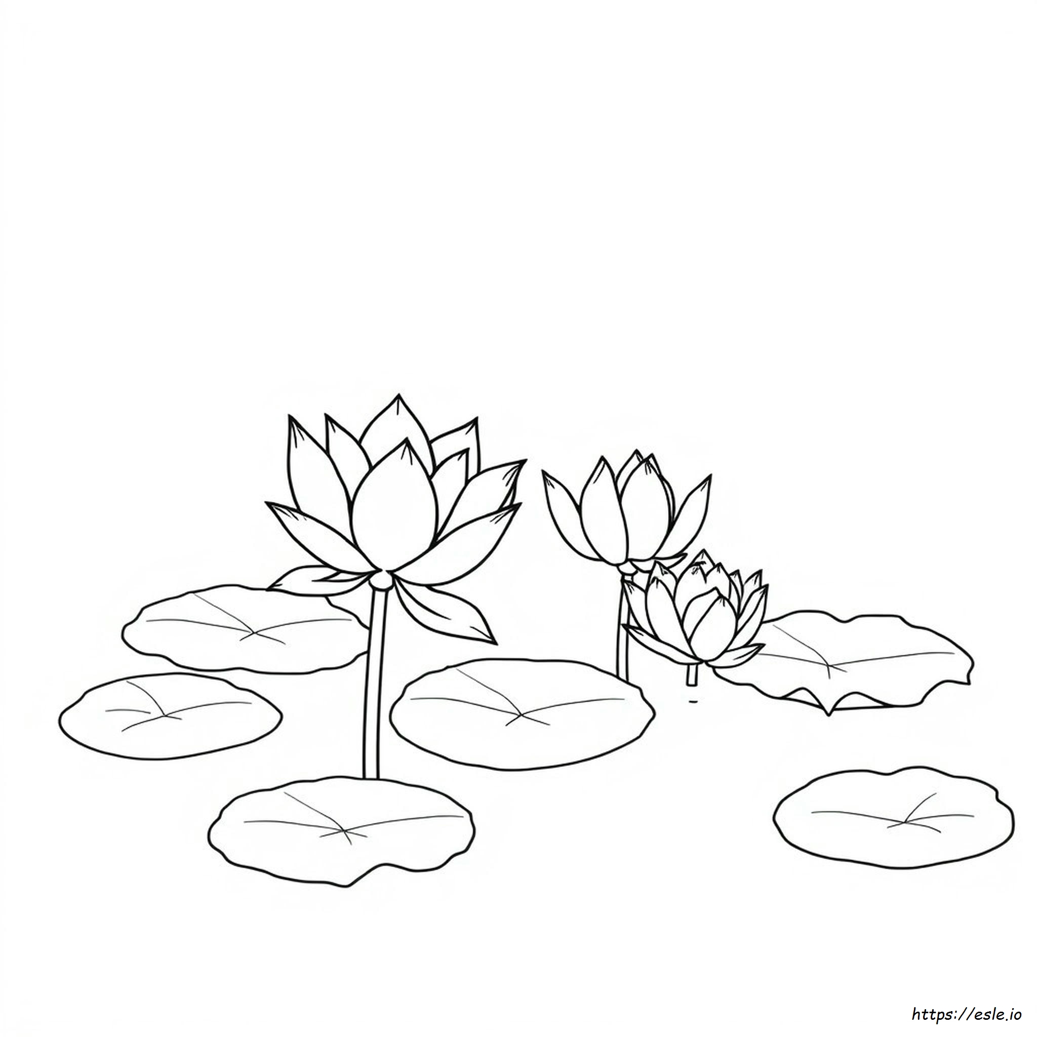 Kostenloses Ausmalbild Lotus Zum Ausdrucken