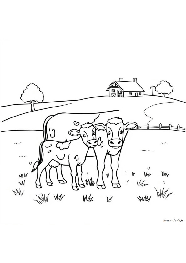 Cow And Calf Colouring Pages