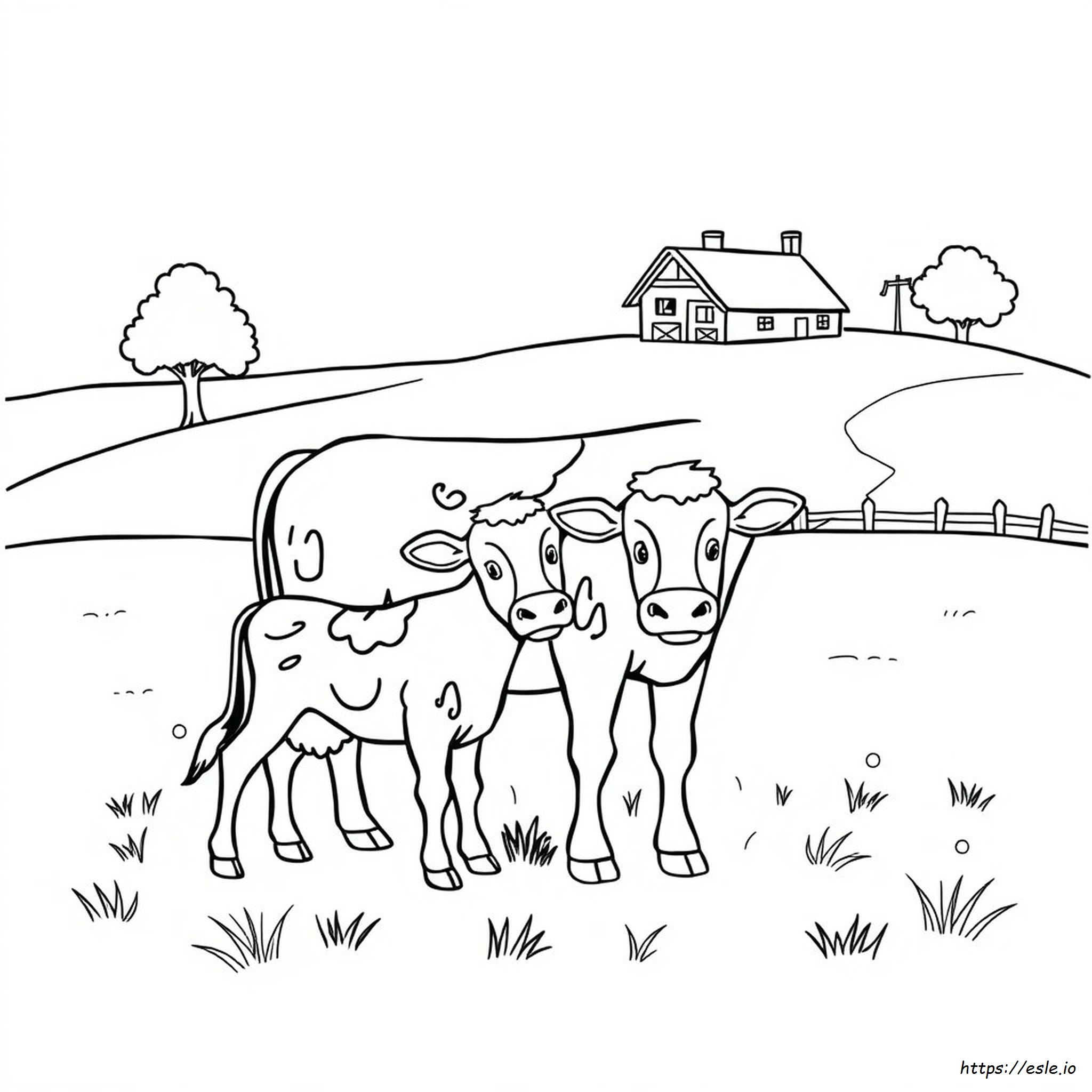 Cow And Calf Colouring Pages